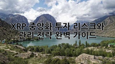 XRP 중앙화: 투자 리스크와 관리 전략 완벽 가이드