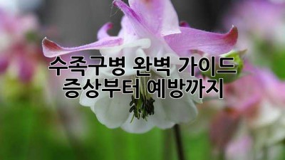 수족구병 완벽 가이드: 증상부터 예방까지!